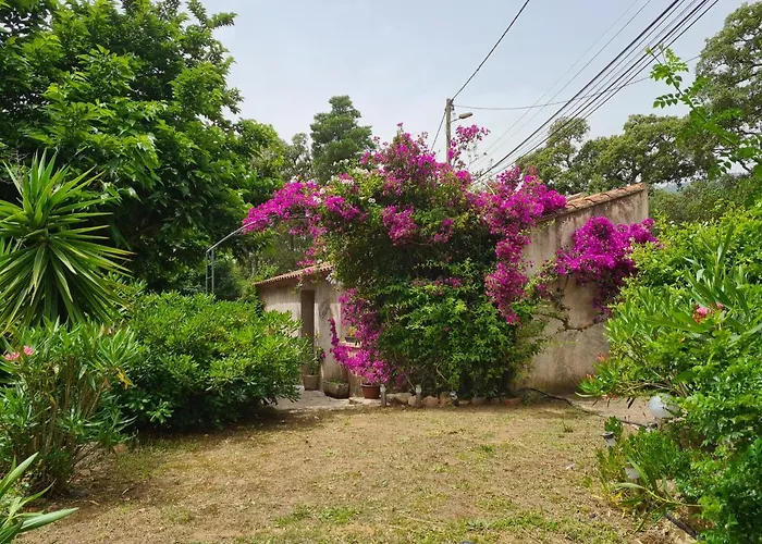 Maisonnette A La Campagne 度假居