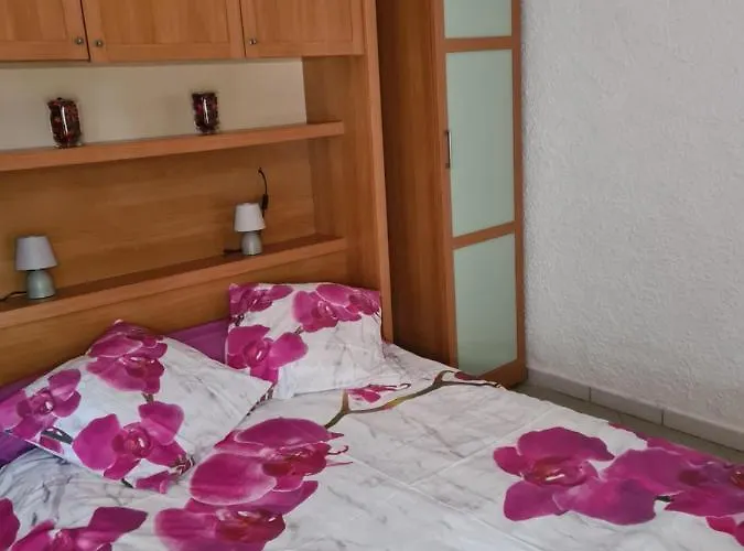 別荘 Maisonnette A La Campagne San-Gavino-di-Carbini